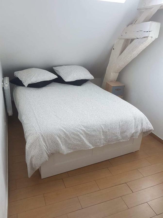 Orleans Appartement 2 Chambres Avec Parking Exteriör bild